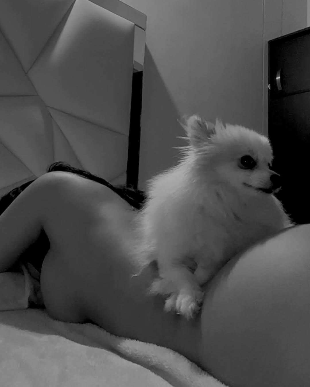 amelianeferet image amelianeferet-20250903-143401-7470